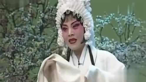 梨园春:豫剧"秦雪梅"哭灵,明星擂主曲跃星,名家田敏同台演唱
