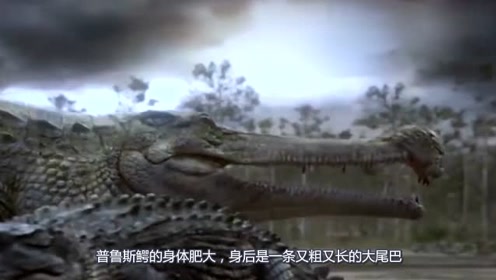 巴西普鲁斯鳄,最大个体身长达到11米,有史以来第二大的鳄鱼