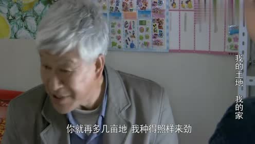 我的土地我的家:老倔头带孙子来小卖部买酱油,寡妇当场陶冶情操