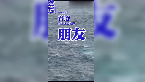 情感语录:看透不说透,还能做朋友