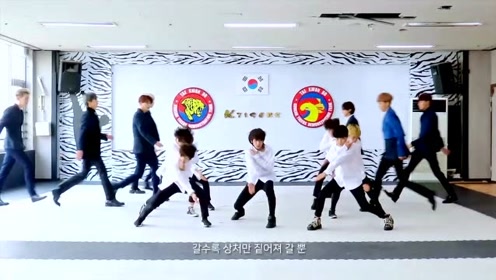 韩国虎队最新mv