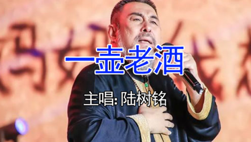 陆树铭倾情演唱《一壶老酒》,感人肺腑,唱出多少漂泊在外的人!