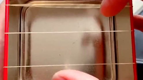小伙用皮筋居然就能制作一个乐器,弹奏出美妙的音乐,太有才了!