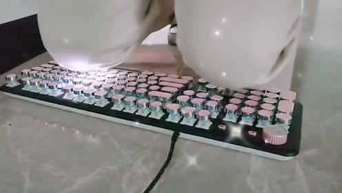 我想请问,跪键盘不许键盘亮是谁的发明?我想替所有已婚男人拜访一下他