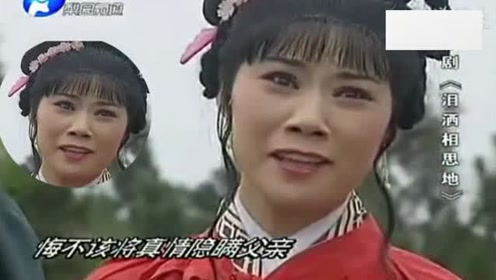 《千悔万错儿招认》河南豫剧 伤感哭戏 经典精彩