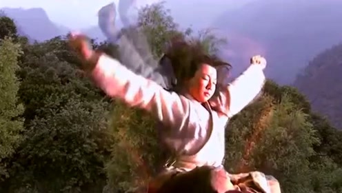少年在深山修炼绝世武功,怎料一练就是几年,这下要无敌了