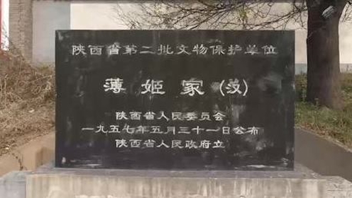 西汉薄太后陵墓因监管不力被盗 实地探访:周边荒芜村民放羊