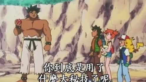 不愧是希巴大师,随随便便就收服强力宝可梦