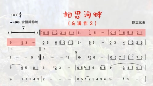 笛子一曲《禅韵》天籁之音仿佛穿透心灵,听得太舒服了!