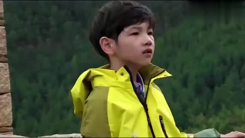 杨烁对儿子好严厉,走路慢就要惩罚重走一遍,杨雨辰太难了!
