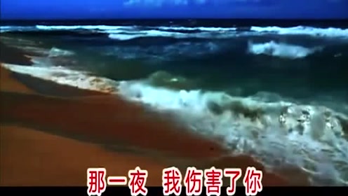 谢军一首《那一夜》经典好听，分享给大家