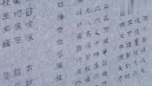 夫君战死沙场，容儿像疯魔一般又哭又笑，发誓让伽罗不得好死！