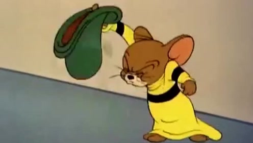 一群强壮猫被杰瑞表哥扫地出门,汤姆下跪亲老鼠的脚!