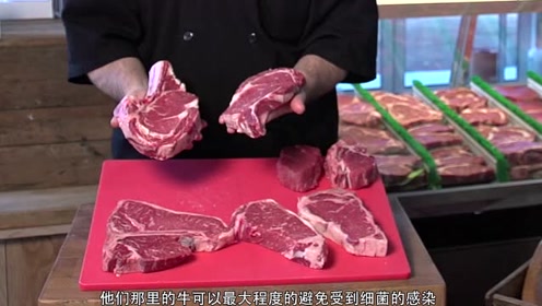 为何在外国老外吃不全熟的牛排或者牛肉却不会感染寄生虫,无奈啊