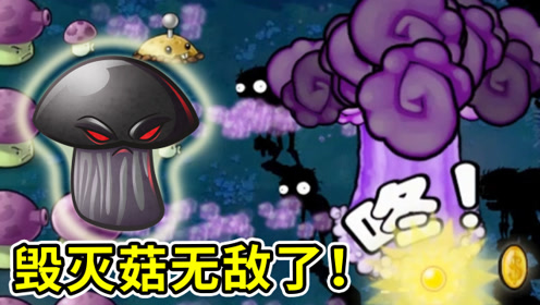 植物大战僵尸95版:植物中的核武,毁灭菇无敌了!小宝趣玩
