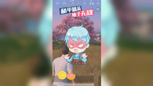 和平精英柚子无敌:灵异事件之凭空消失
