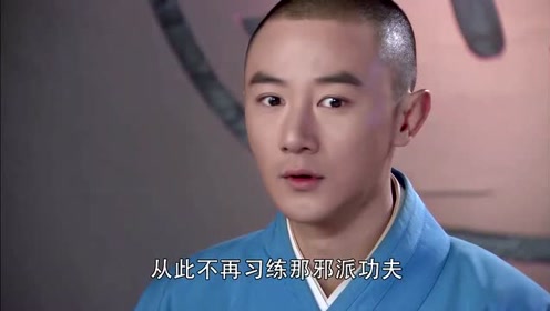小和尚为报血海深仇堕入魔道,蒙面恩人为挽救他,竟当面收他为徒