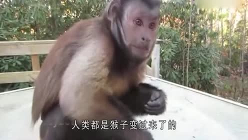 竟然喂自家猴子吃这个