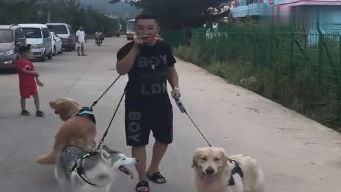 老陈头遛狗,这下还做起狗贩子生意,太搞笑了