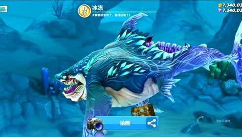饥饿鲨世界:僵尸鲨直接开启暴走模式