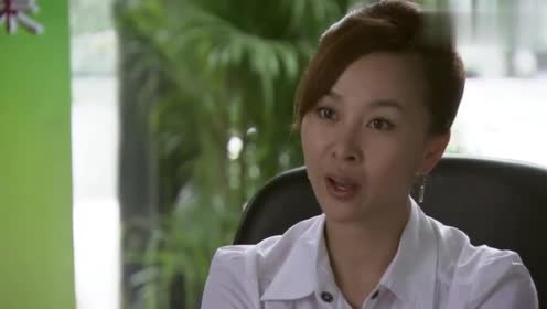 杨光的夏天:条子应聘,老总直接开出三万的高价月薪,条子乐极了