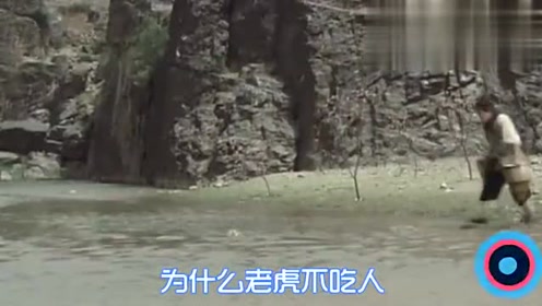 这首李娜的《女人是老虎》唱得欢快搞笑，越听越有意思