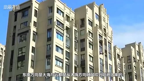 买房时真的要买“西户房”？后悔当初不听朋友的话，入住后被坑惨了！