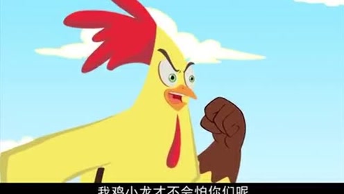小鸡不好惹:黄鼠狼追上了小鸡,天空大战谁会胜利呢?