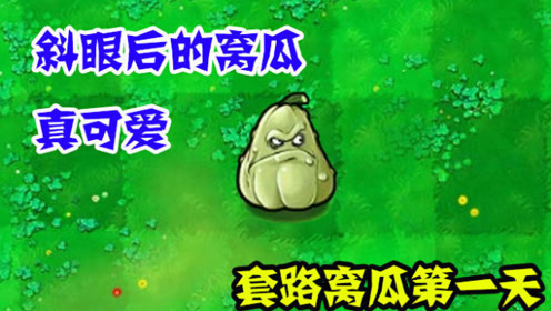 植物大战僵尸:套路窝瓜第一天,当它斜眼后的样子,真可爱!