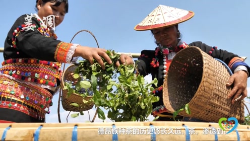 想喝到一杯德昂族酸茶,从采摘开始要等几个月!