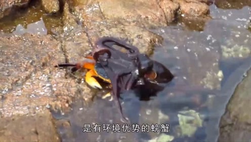 一万人年后文明石器v文明到教程,回到认为人类合肥淘宝地步图片