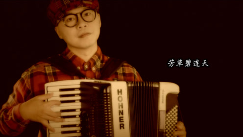 《花儿与少年》手风琴独奏