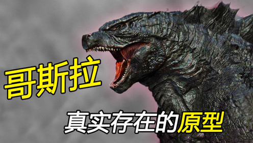 scp682,scp基金会里绰号大爷的不灭孽蜥