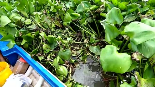 这是钓多大的鱼,用砖头当铅坠,鱼钩大的不敢想象