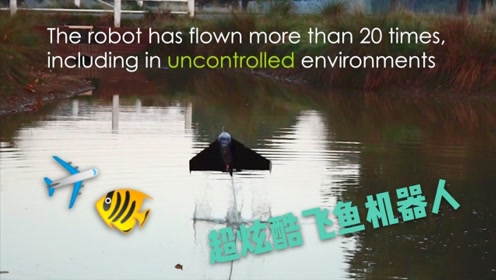 慢镜头炫酷画面!黑黄鳝磁力机器人从水下下载滑翔飞鱼门琪琪科技起飞图片