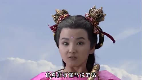 新西游记哪吒三太子被笑弯了腰,一句话把孙悟空和天马都骂了