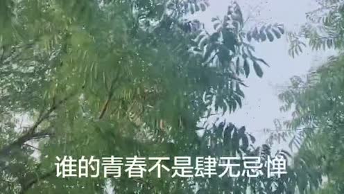 肆无忌惮的青春岁月早已一去不复返!