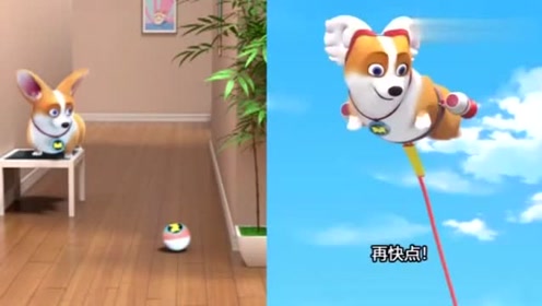 飞狗moco:小主人想快点自由飞翔,希望柯基能给力,可是柯基都不靠谱.