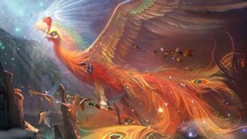 世界上最像"凤凰"的鸟,外表华丽地位极高,傲骨铮铮宁死不屈