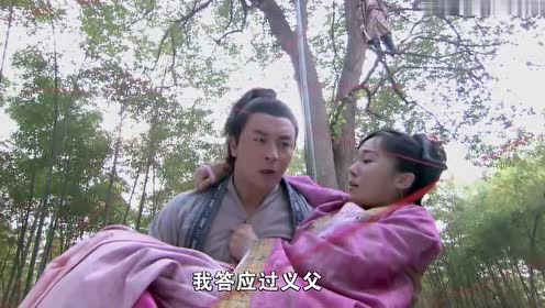 武林猛虎:杨恕救谢落樱,怎料落进天罗地网,稍有异动便触发机关