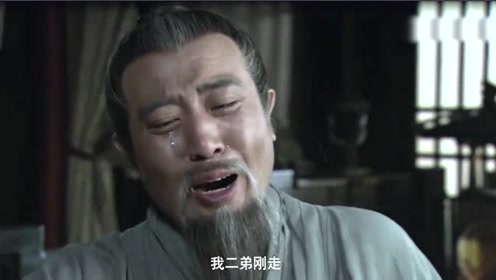 新三国:刘备一听到汉献帝归天四百年大汉基业已毁,直呼自己毕生征战有