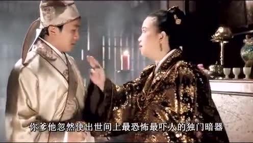 唐伯虎点秋香这段,看过后才知道唐家和夺命书生的前因后果