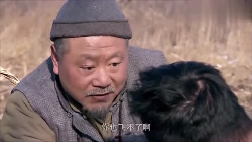魏翔又被范伟坑了,魏翔这是真正表演了一出千里送人头啊