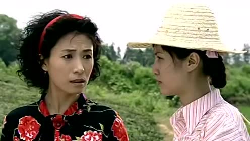 悠悠寸草心:有人就是小人心肠,故意刺激翠娥,给金凤泼脏水