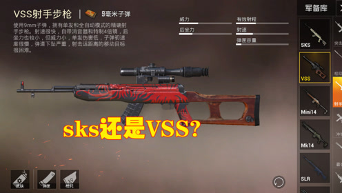 和平精英:vss和sks怎么选?多数选择sks,这类人例外