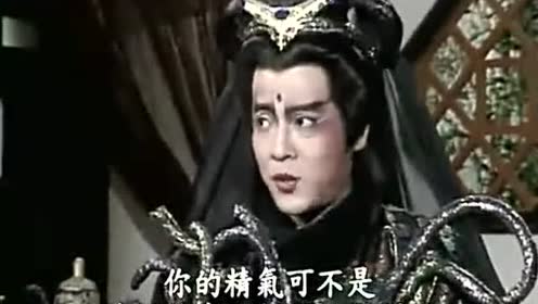 包青天:冥河姥姥要吸取包拯的精气,幸好有正义之龟及时出现!