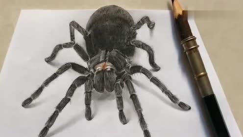绘画教学:蜘蛛绘画成品展示一波!网友:成功欺骗了我的眼睛!