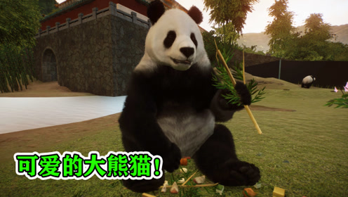 动物园之星04:大熊猫真是太可爱了!