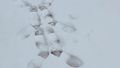 小姐姐在雪地上蹦了几下,瞬间就出现一个小兔的样子,太会玩了!