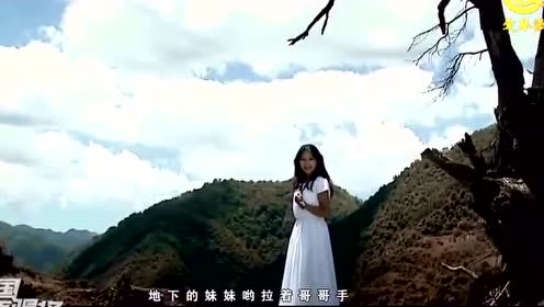 藏族女歌手一曲《今生今世跟你走》听得情飞飞!梦醉醉!